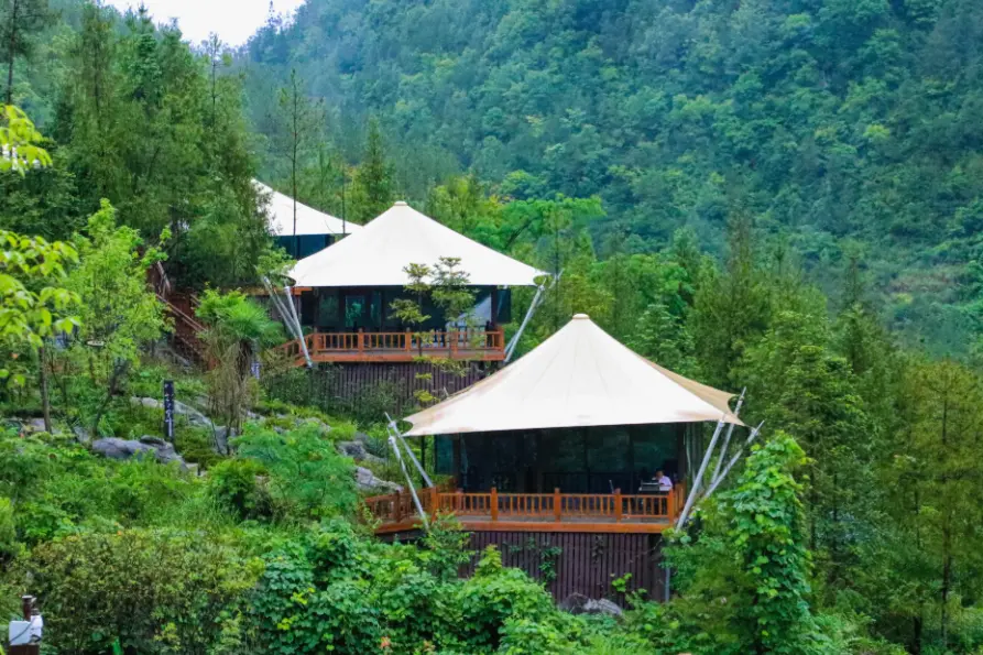 云顶森林生态园